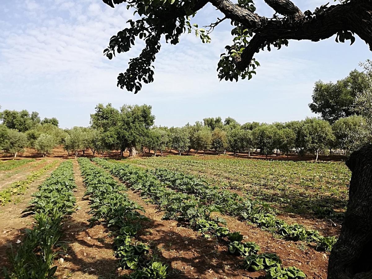 פאסאנו Masseria Don Sante מראה חיצוני תמונה